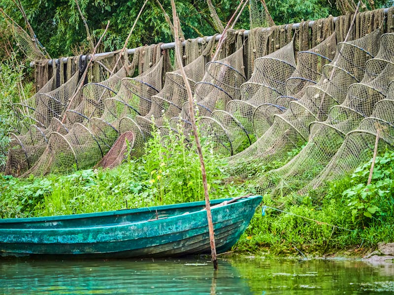 Fischreusen im Donau-Delta    - ©thecriss - stock.adobe.com