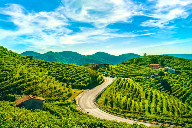 Prosecco-Straße umgeben von Weinbergen - ©stevanzz - stock.adobe.com
