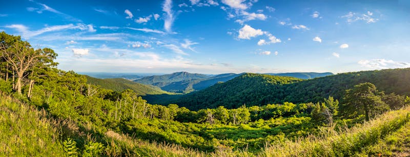 Shenandoah Nationalpark in Virgina - ©PhotoSpirit - stock.adobe.com