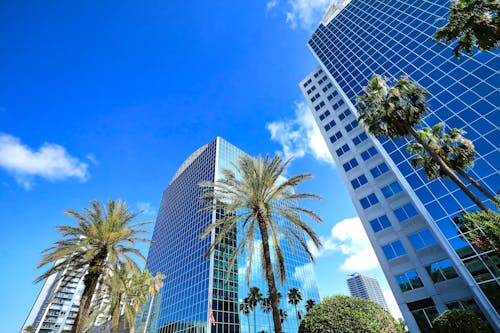 Orlando &ndash; &copy; Jillian Cain - stock.adobe.com