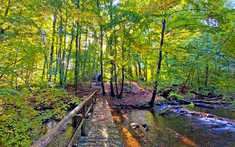 Nebelbrücke in Mecklenburg - ©Cornelia Ritter - Eberhardt TRAVEL