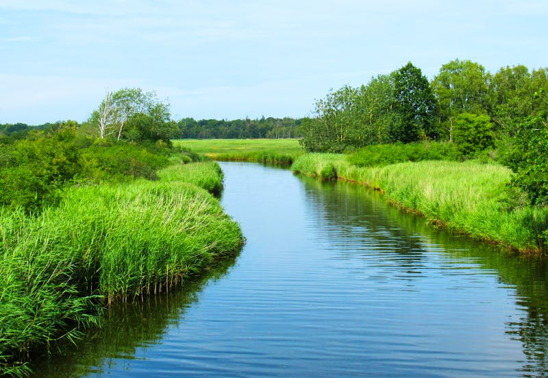 Kanal in der Markgrafenheide - ©Marion - stock.adobe.com