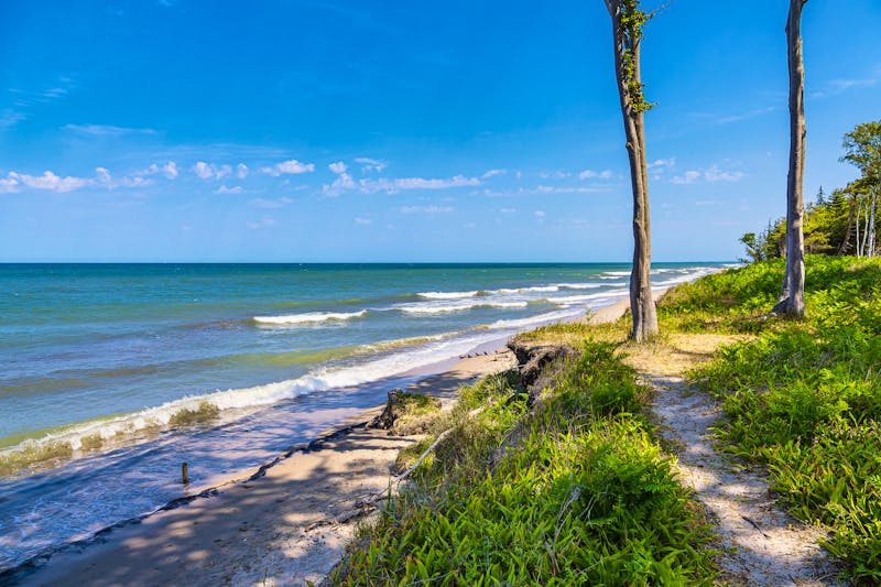 Strand an der Ostseeküste in der Rostocker Heide  - ©Rico Ködder - stock.adobe.com
