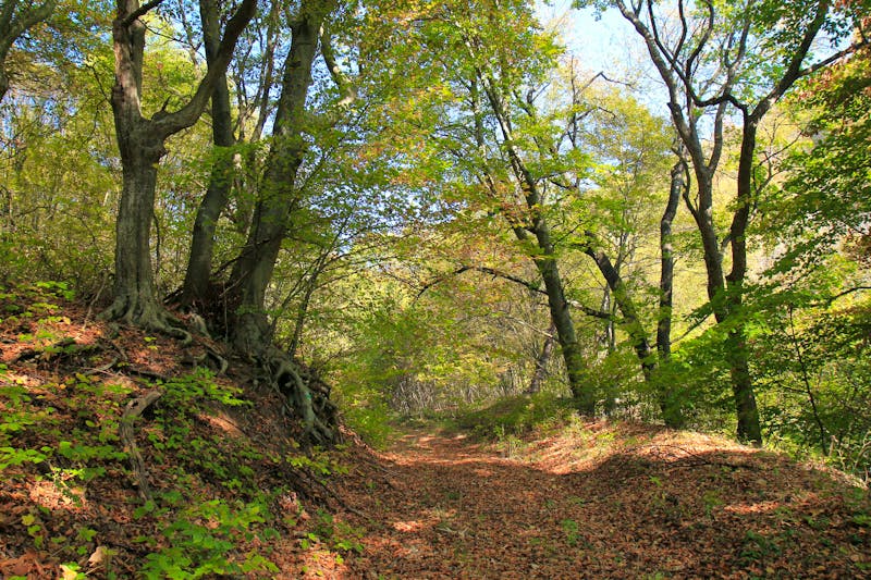 Shumen Plateau - ©Adobe Stock
