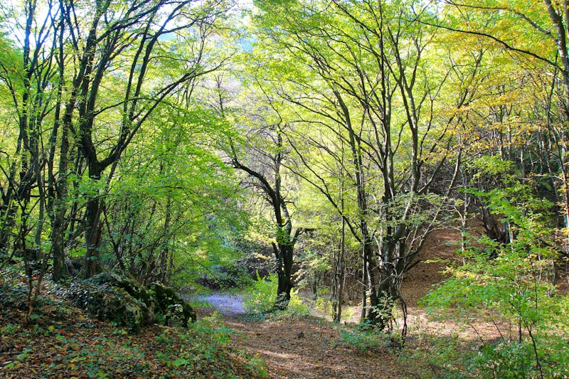 Shumen Plateau - ©Adobe Stock