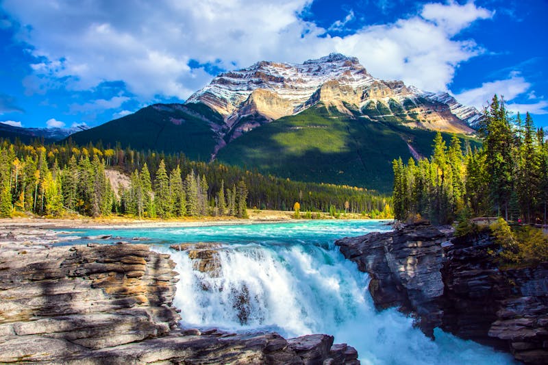 Athabasca Wasserfälle im Jasper Nationalpark mit Rockys in Alberta, Kanada - ©Kushnirov Avraham - stock.adobe.com