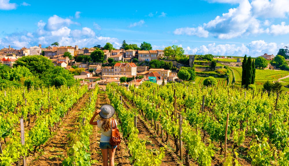 Weinberge bei Saint Emilion - Frankreich &ndash; &copy; M.studio - stock.adobe.com