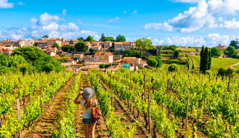 Weinberge bei Saint Emilion - Frankreich - ©M.studio - stock.adobe.com