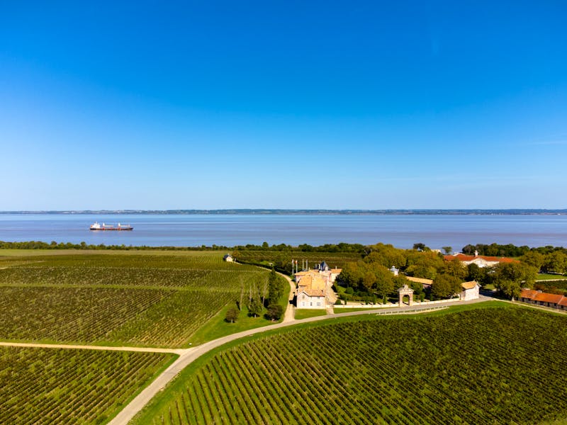 Grüne Weinberge und Fluss Gironde im Weinbaugebiet Médoc - Frankreich - ©barmalini - stock.adobe.com