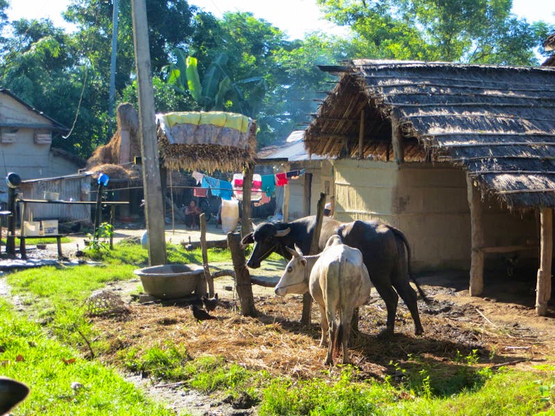 Besuch der Bauern am Chitwan-Nationalpark  - ©Annette Weise - Eberhardt TRAVEL