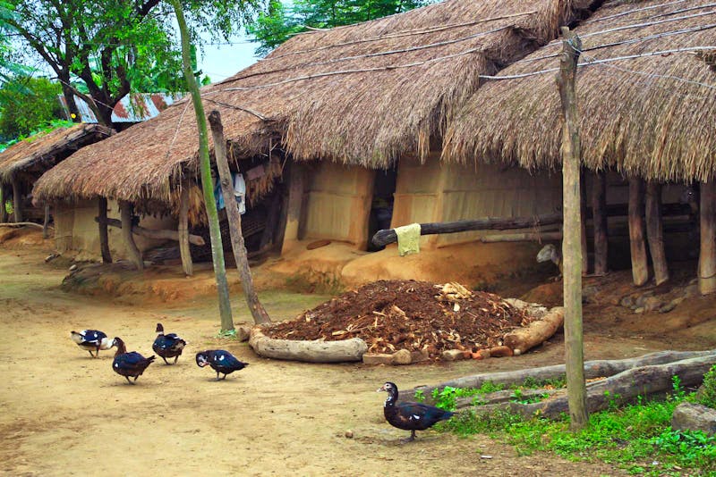 Besuch der Bauern am Chitwan-Nationalpark  - ©Denise Hartmann - Eberhardt TRAVEL