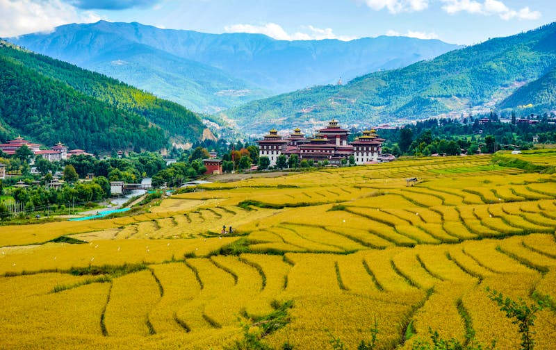 Thimphu mit Reisfeldern in Bhutan - ©Angela Meier - stock.adobe.com