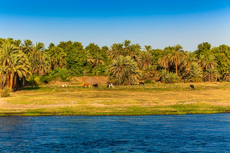 Landschaft am Ufer des Nil - &copy;EwaStudio - stock.adobe.com