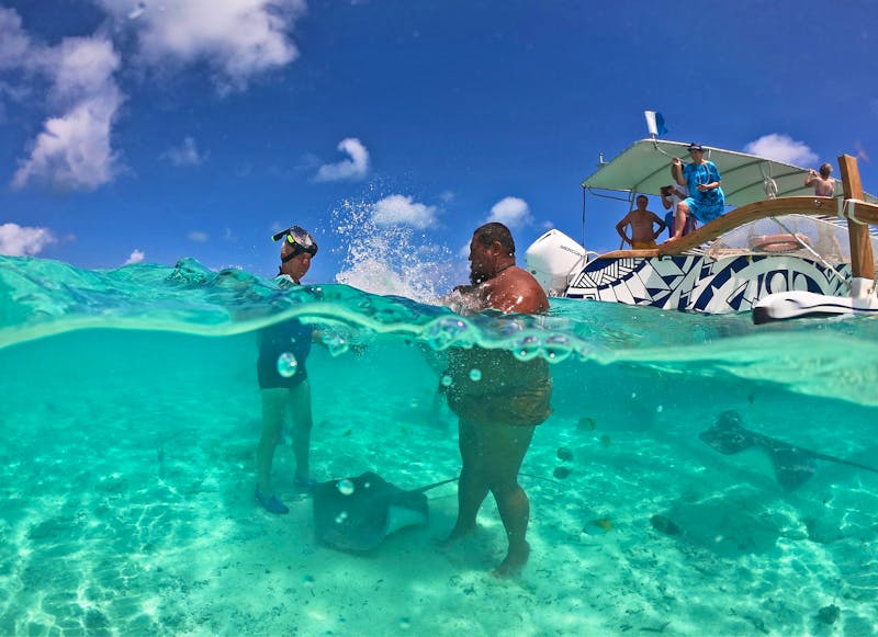 Bora Bora - Schnorcheln mit Rochen & Haien - ©Jacob Spangenberg - Eberhardt TRAVEL