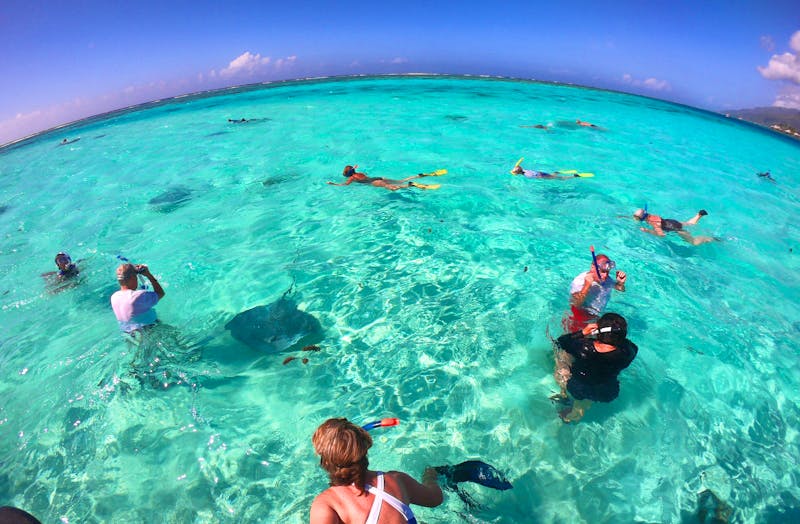 Schnorcheln mit Rochen in der Lagune von Moorea - ©Jacob Spangenberg - Eberhardt TRAVEL