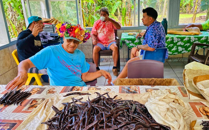 Inselrundfahrt auf Tahaa - zu Besuch auf der Vanille Plantage - ©Jacob Spangenberg - Eberhardt TRAVEL