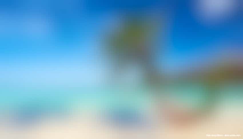 Karibik - Urlaub am Strand mit Hängematte – © Jenny Sturm - stock.adobe.com