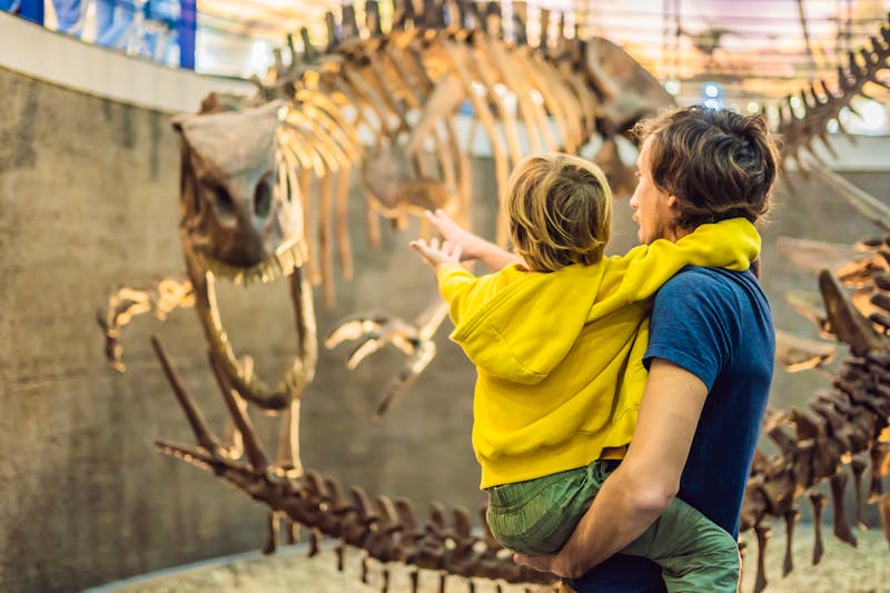 Dinosaurier-Skelett in Drumheller - ©galitskaya - stock.adobe.com