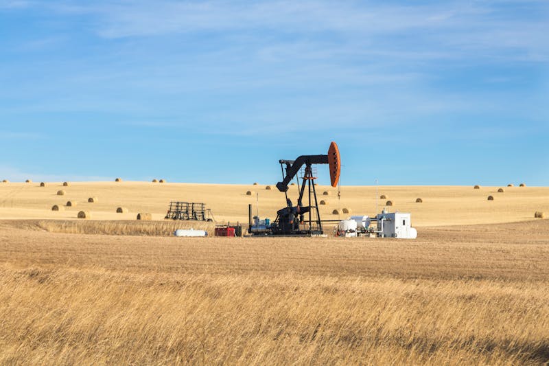 Getreidefeld mit Erdöl-Pumpe in Alberta südlich von Calgary - ©ShyLama Productions - stock.adobe.com