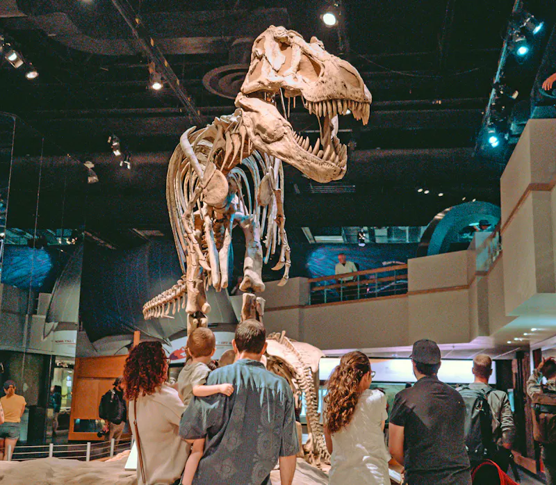 Tyrannosaurus Rex Skelett im Royal Tyrrell Museum in Drumheller - &copy;Travel Alberta / Davey Lieske