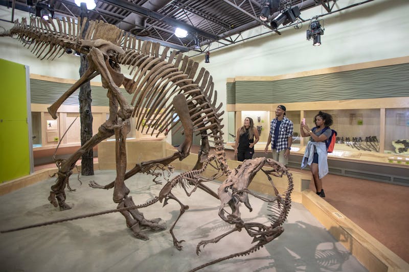 Im Besucherzentrum des Dinosaur Provincial Park (UNESCO-Welterbe) - ©Travel Alberta / Scott Bakken