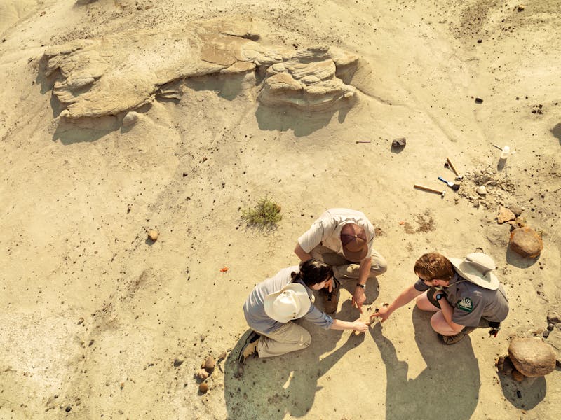 Paläontologen im Dinosaur Provincial Park in den kanadischen Badlands - ©Travel Alberta / Roth & Ramberg