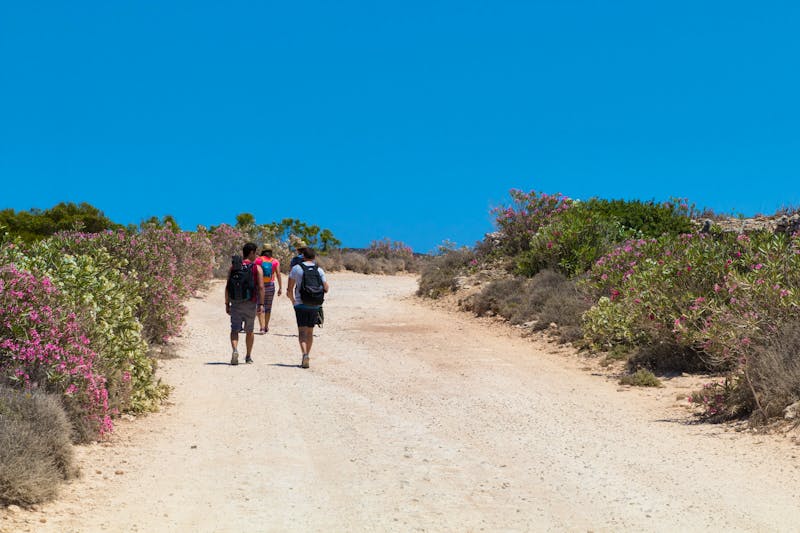 Wanderung auf der Insel Comino - ©mikesmithdesign - stock.adobe.com