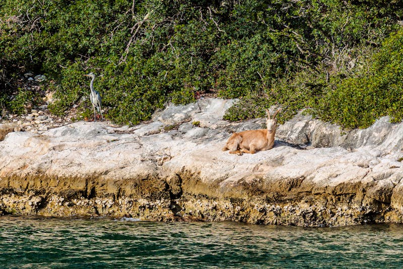 Lim-Fjord (Limksi Canal), Istrien, Kroatien - ©were - stock.adobe.com