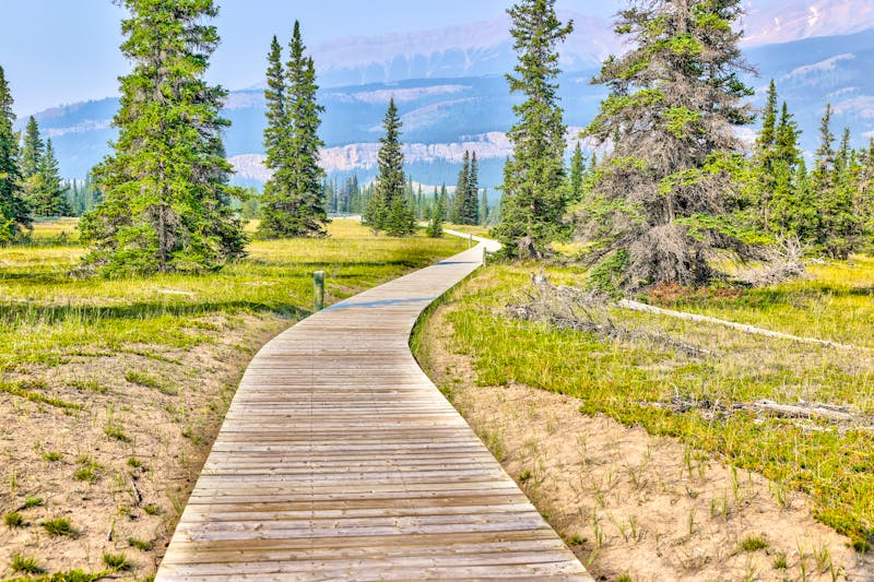 Wanderweg am Abraham Lake in den östlichen Rocky Mountains - ©Torval Mork - stock.adobe.com