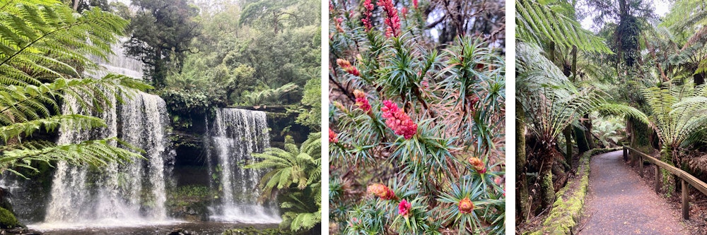 Blogbild Tasmanien – © Eberhardt TRAVEL