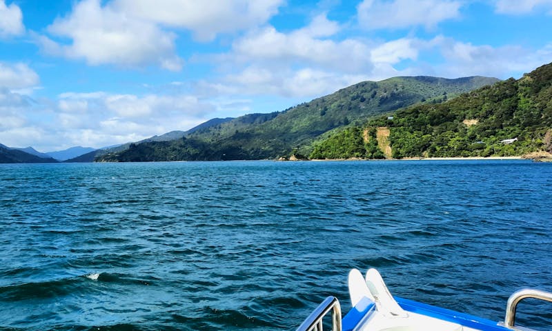 private Eberhardt-Kreuzfahrt durch den Kenepuru Sound - ©Annett Müller - Eberhardt TRAVEL