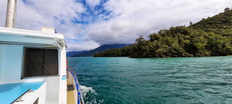 private Eberhardt-Kreuzfahrt durch den Kenepuru Sound - ©Annett Müller - Eberhardt TRAVEL