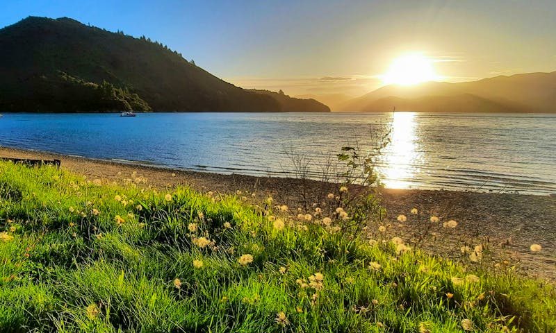 Neuseeland Südinsel - Portage Resort am Kenepuru Sound - ©Annett Müller - Eberhardt TRAVEL