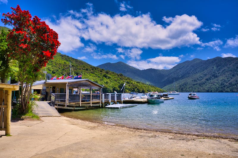 Kenepuru Sound in den Marlborough Sounds - ©Scott - stock.adobe.com