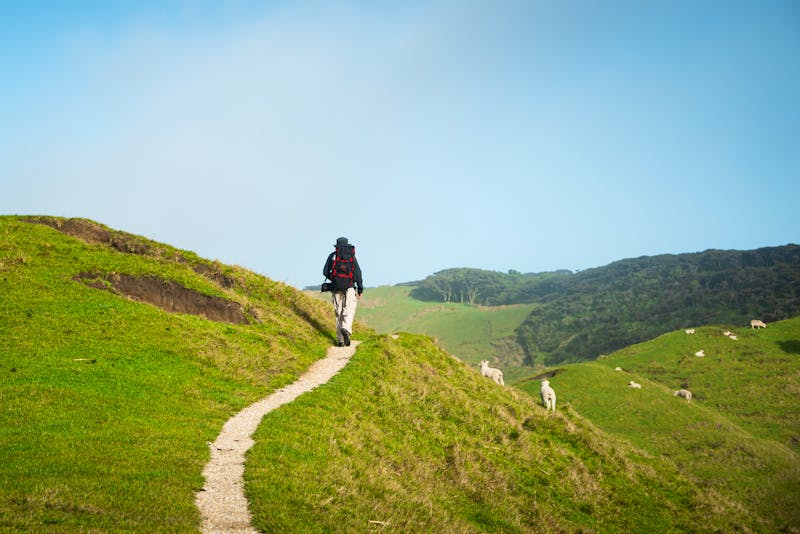 Kleine Wanderung zum Wharariki Beach - Golden Bay - ©Janice - stock.adobe.com