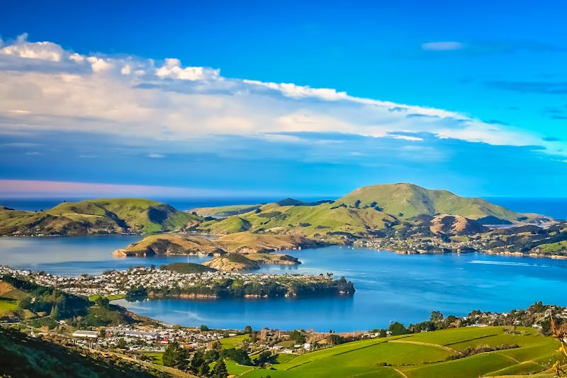 Blick auf die Bucht von Dunedin - ©Pawel Opaska - stock.adobe.com