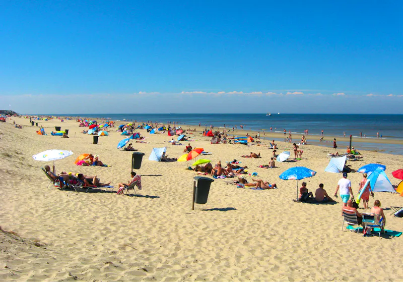 Dünen und Strand auf Texel - &copy;Bernd-Tilo Mildner (Eberhardt TRAVEL)