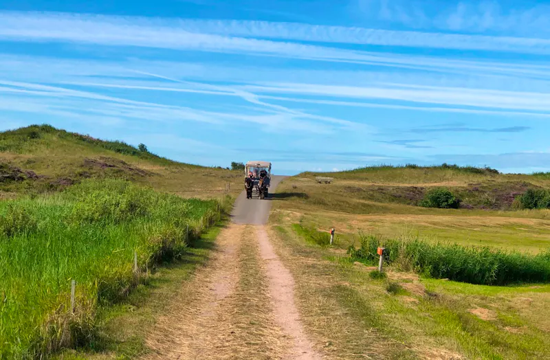 Planwagenfahrt auf Texel - Pferdekutsche - &copy;Sabine Letzybyll - Eberhardt TRAVEL