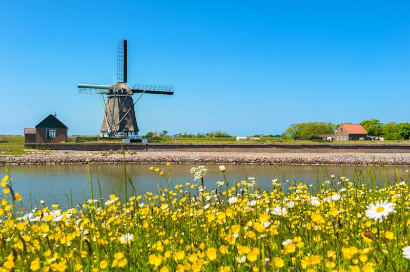 Windmühle auf der Insel Texel - ©Ivonne Wierink - stock.adobe.com