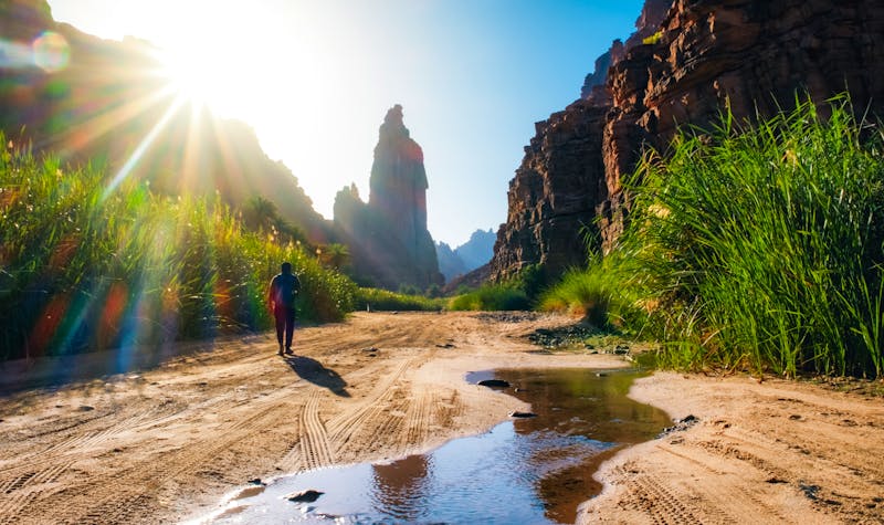 Naturwunder Wadi Disah in Tabuk - ©spc3mky - stock.adobe.com