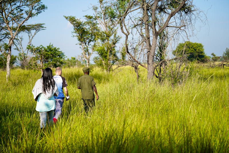 Auf Pirsch im Ziwa Nashorn-Schutzgebiet Uganda - ©JoseAntonio - stock.adobe.com