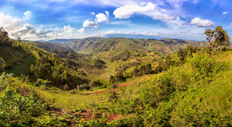 Reise durch Uganda - ©photocech - stock.adobe.com