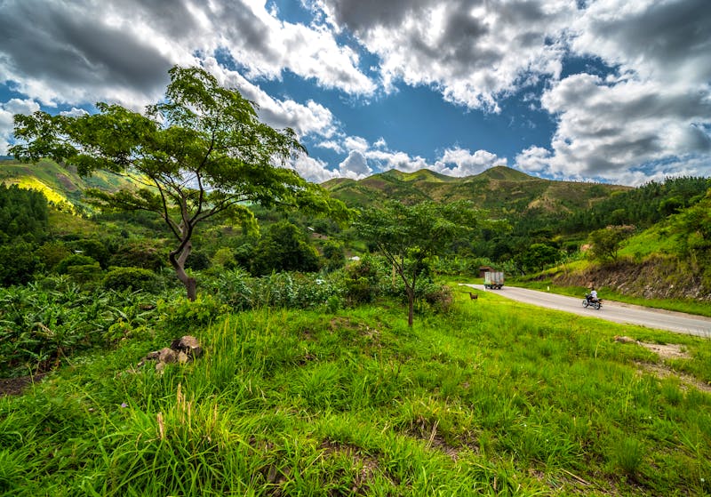 Bwindi Impenetrable Forest Nationalpark - ©vaclav - stock.adobe.com