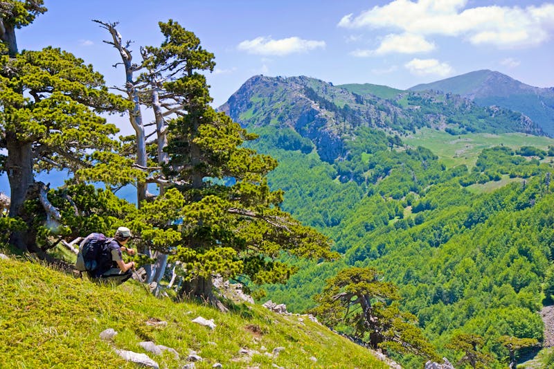 Wandern im Pollino-Nationalpark - ©Enrico Rovelli - stock.adobe.com