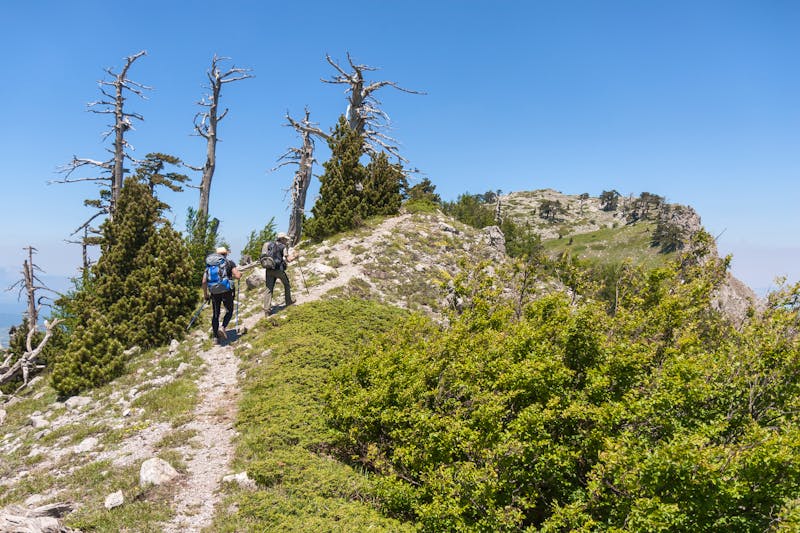 Wandern im Pollino-Nationalpark - ©Enrico Rovelli - stock.adobe.com