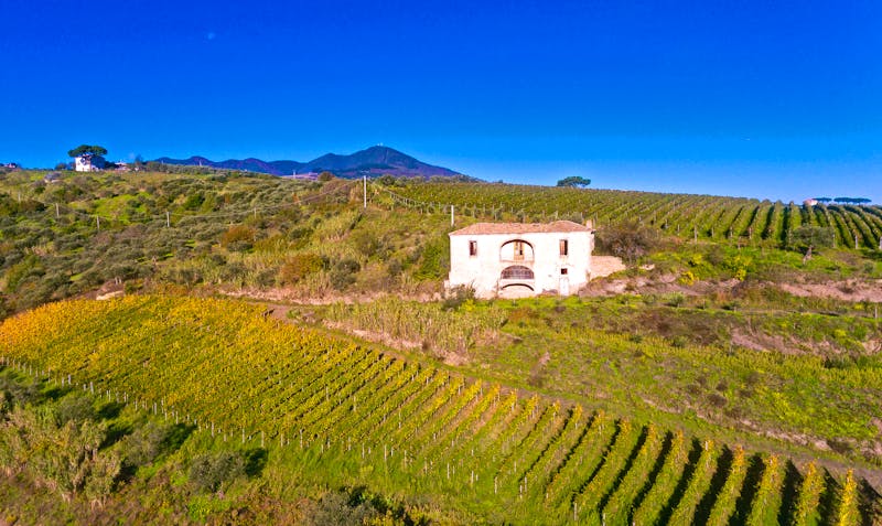Aglianico Weingebiet in der Region Basilikata - ©gpisano71 - stock.adobe.com
