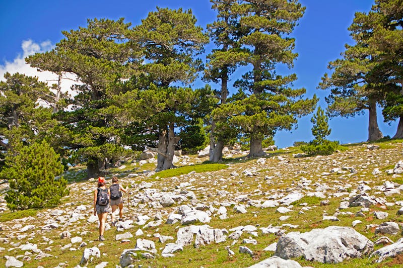 Wanderung im Pollino Nationalpark - ©laudibi - stock.adobe.com
