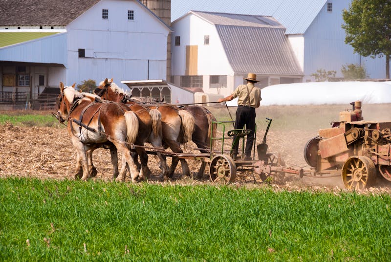 Amish People in Pennsylvania - ©Greg Kelton - stock.adobe.com