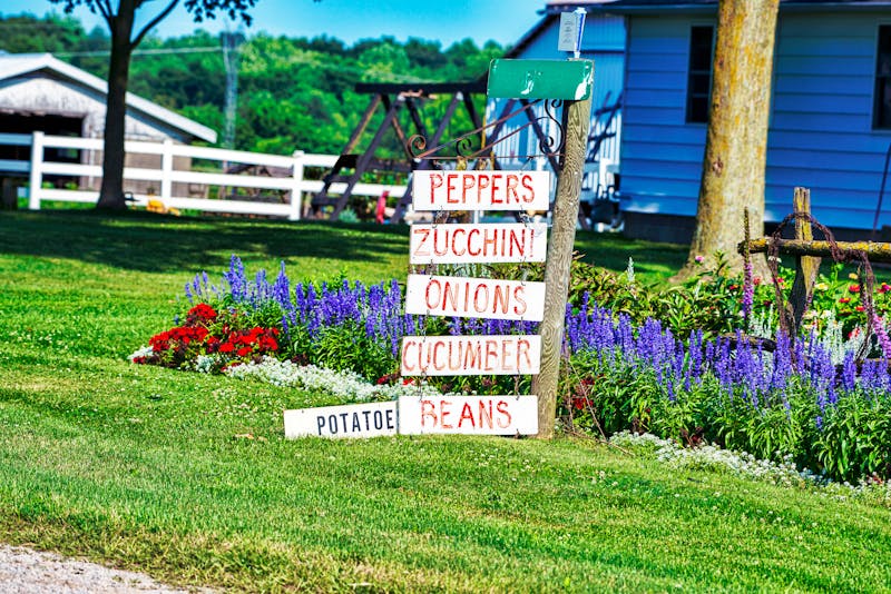 Gemüseangebot bei den Amish People in Pennsylvania - ©David Arment - stock.adobe.com