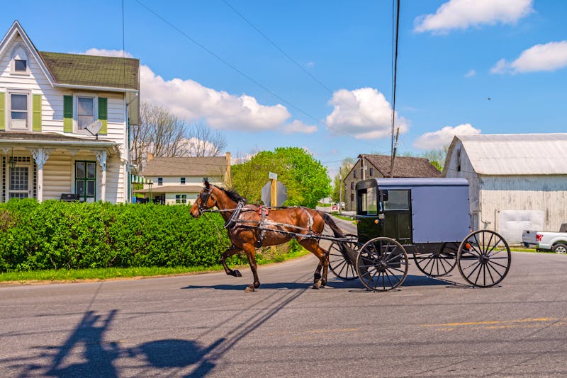 Pferdekutsche bei den Amish People in Pennsylvania - ©gillianvann - stock.adobe.com